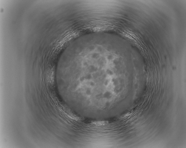 X0000059040499200510171852