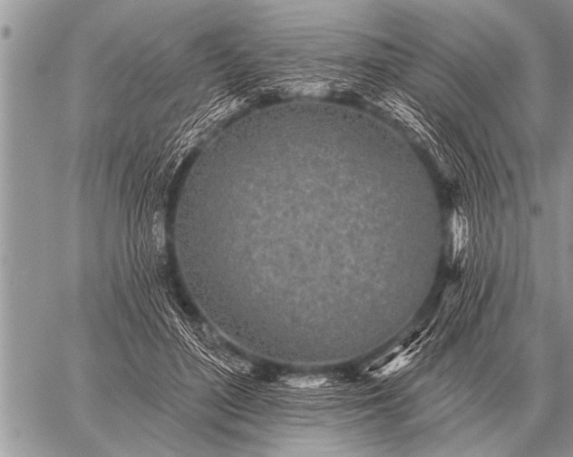 X0000059040500200510171852