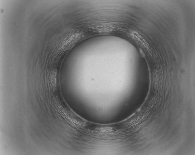 X0000059040501200510171852