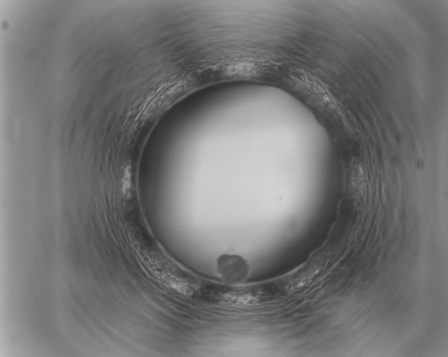 X0000059040502200510171852