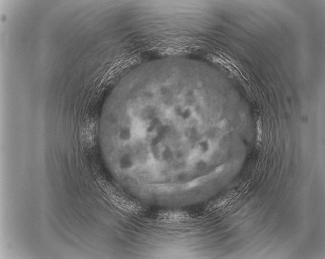 X0000059040503200510171852