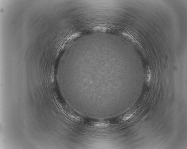 X0000059040504200510171852