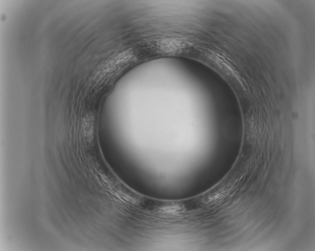 X0000059040505200510171852