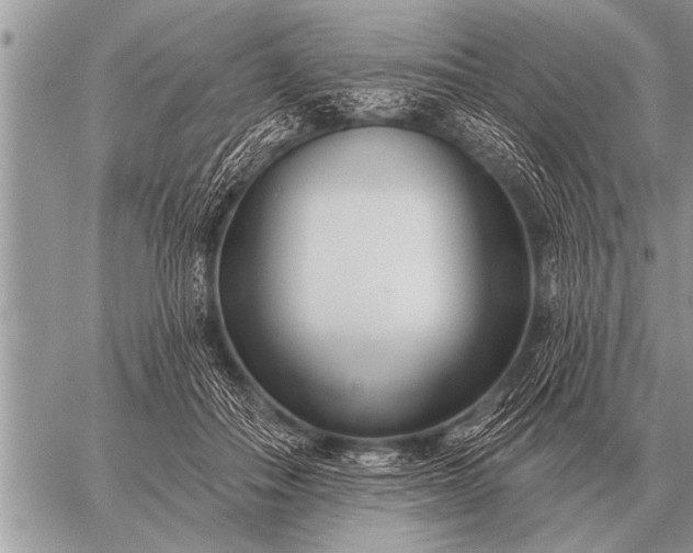 X0000059040506200510171852