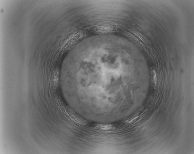 X0000059040507200510171852