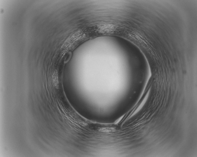 X0000059040508200510171852