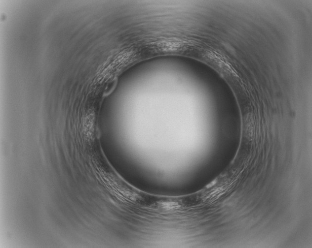 X0000059040509200510171852