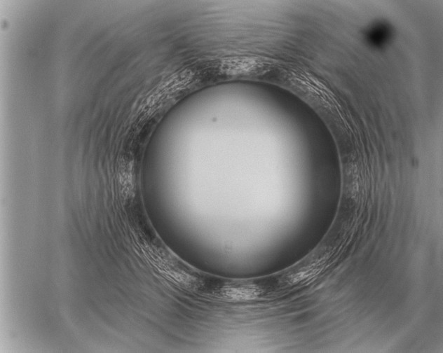 X0000059040510200510171852