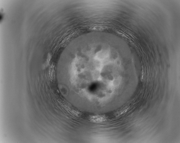 X0000059040511200510171852