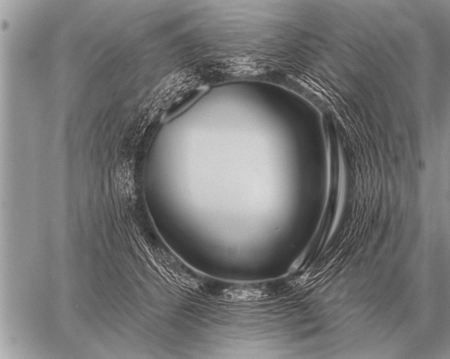 X0000059040512200510171852