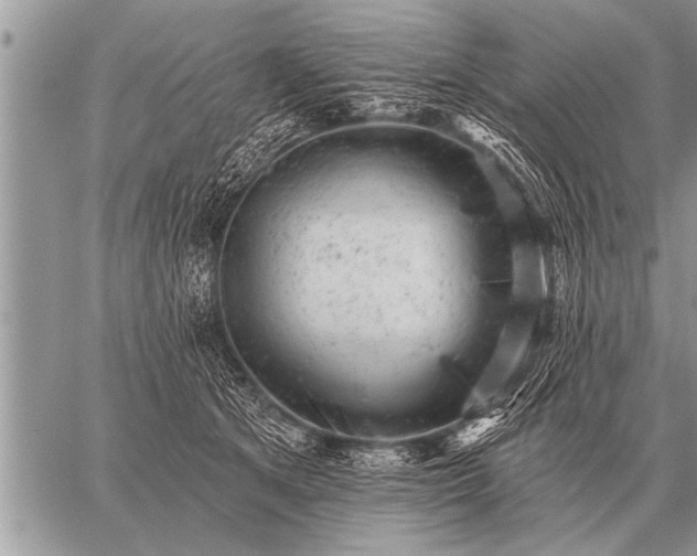 X0000059040513200510171852