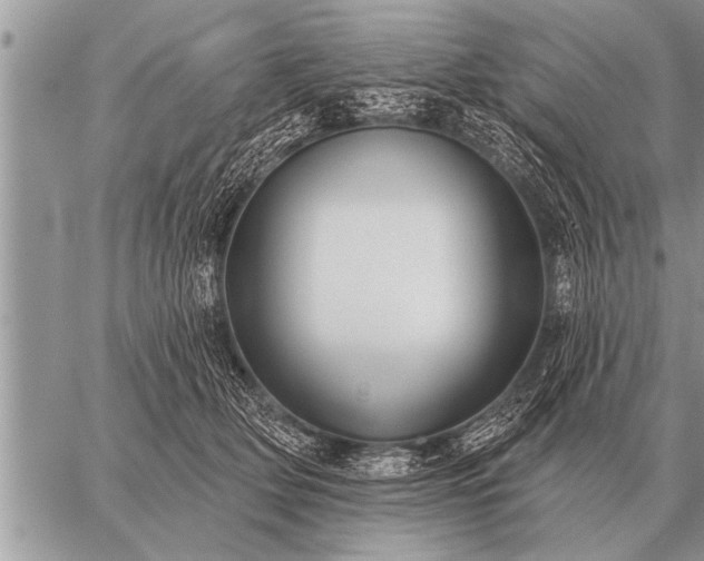 X0000059040514200510171852