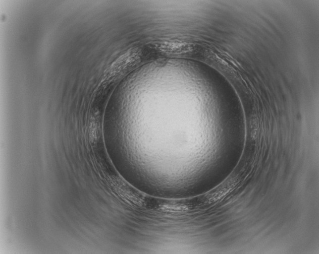 X0000059040515200510171852