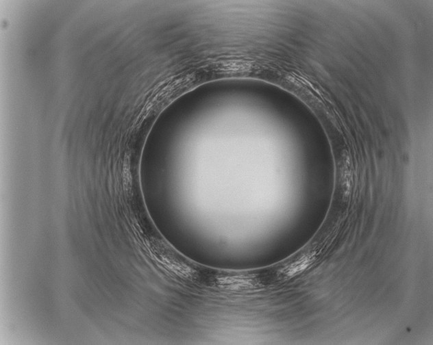 X0000059040516200510171852