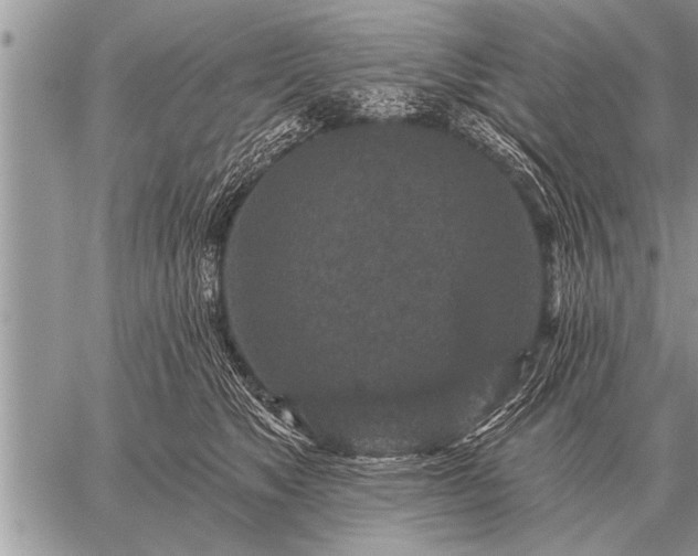 X0000059040517200510171852