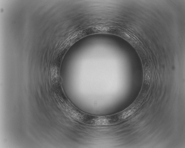 X0000059040518200510171852