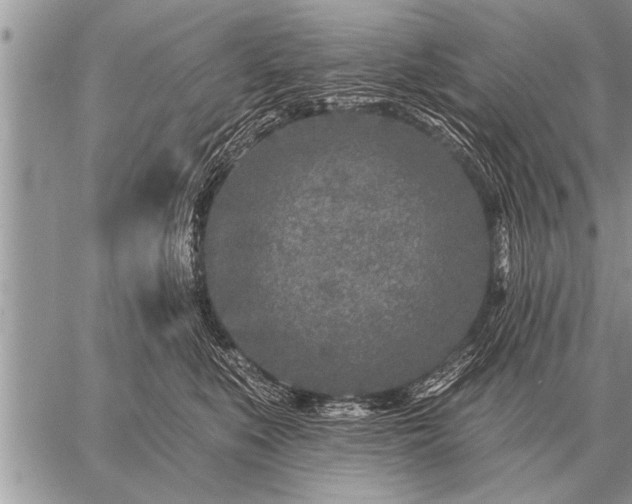 X0000059040519200510171852