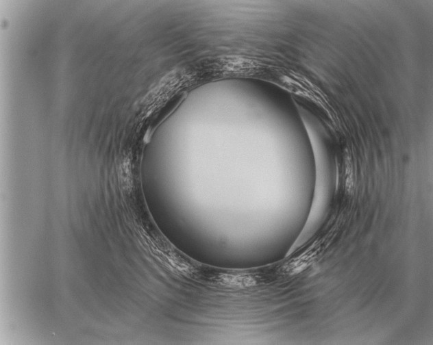 X0000059040520200510171852