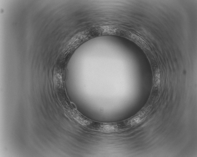 X0000059040522200510171851