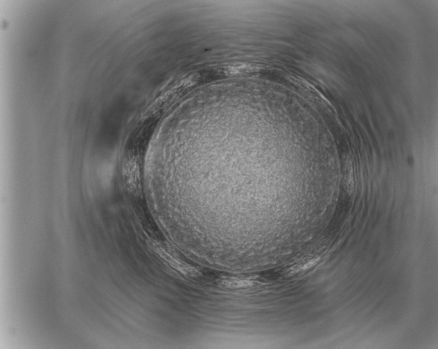 X0000059040523200510171851