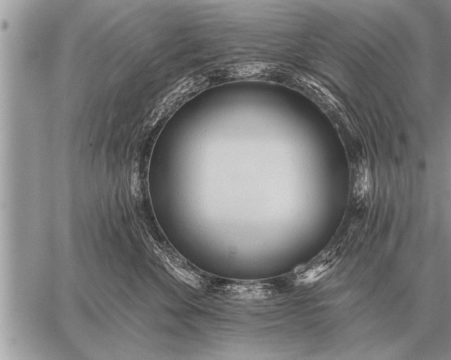 X0000059040524200510171851