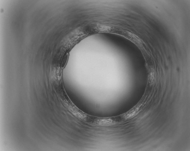 X0000059040525200510171851