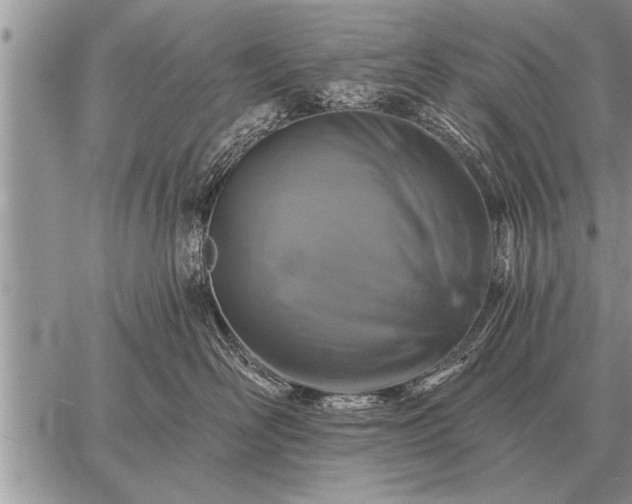 X0000059040526200510171851