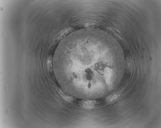 X0000059040527200510171851