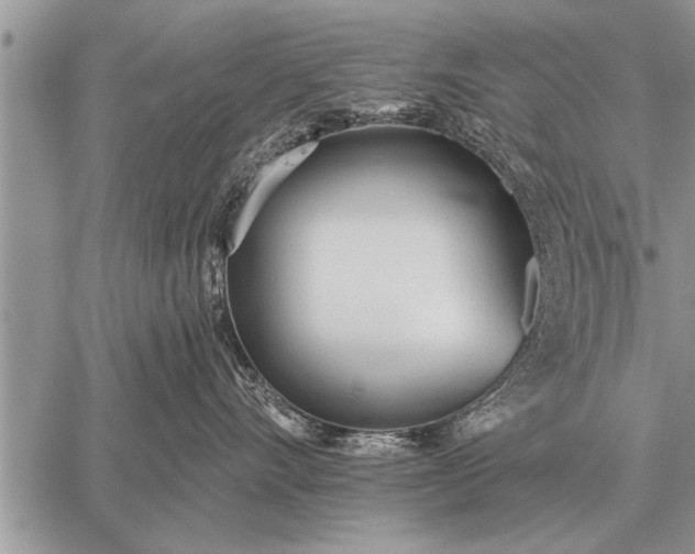 X0000059040528200510171851