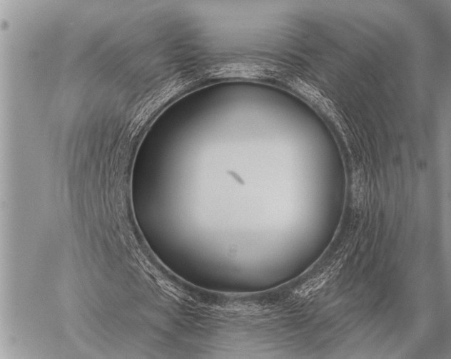 X0000059040529200510171851