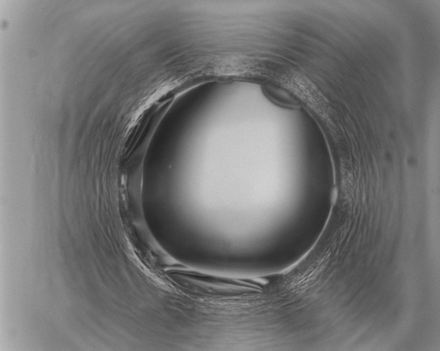 X0000059040530200510171851