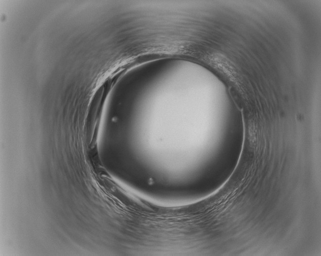 X0000059040532200510171851