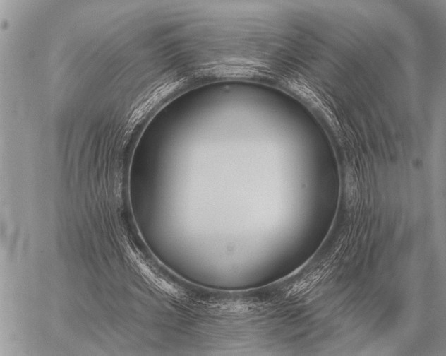 X0000059040533200510171851