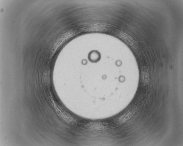 X0000059040534200510171851