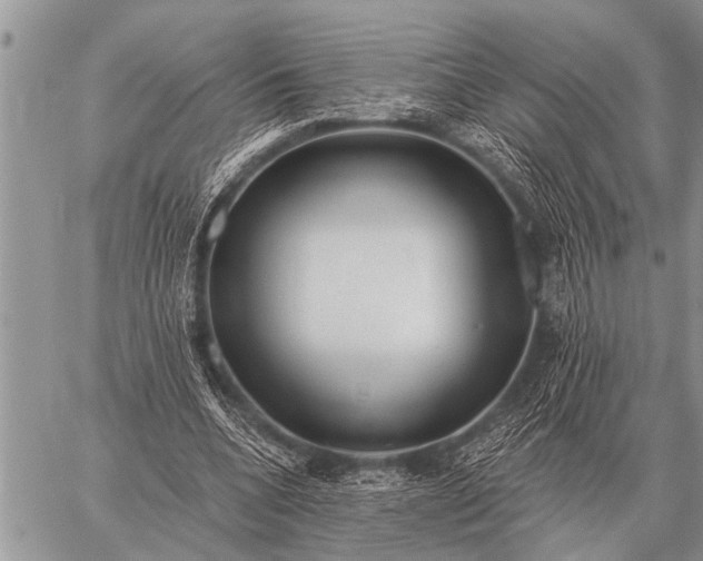 X0000059040536200510171851