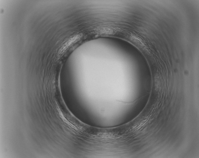 X0000059040538200510171851