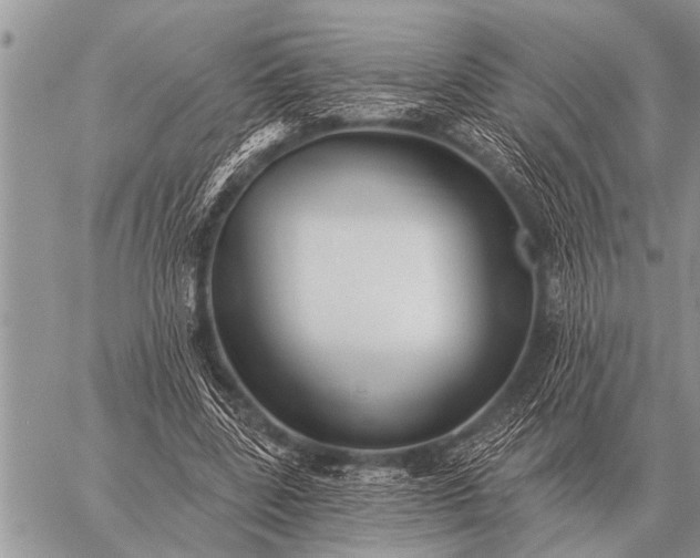 X0000059040539200510171851