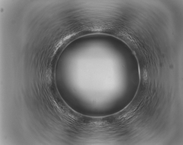 X0000059040540200510171851