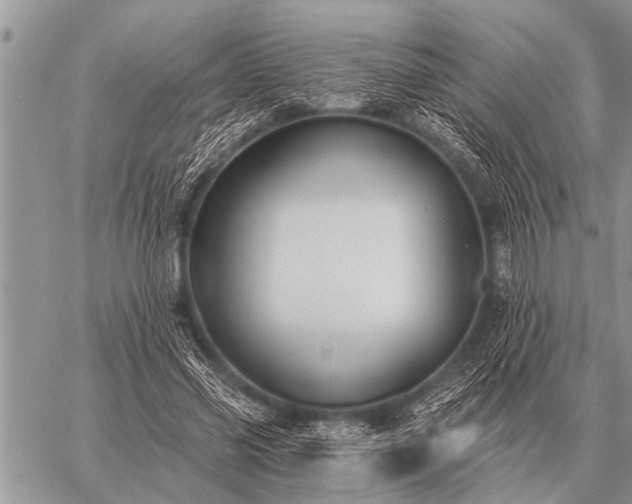 X0000059040541200510171851