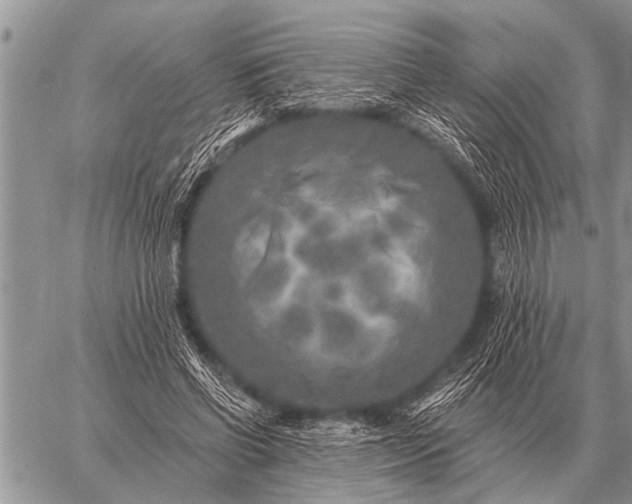 X0000059040542200510171851