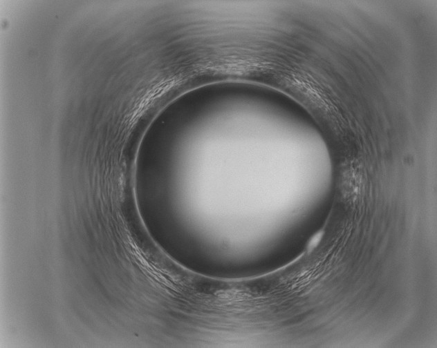 X0000059040544200510171851