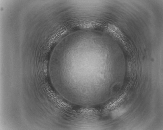 X0000059040545200510171851