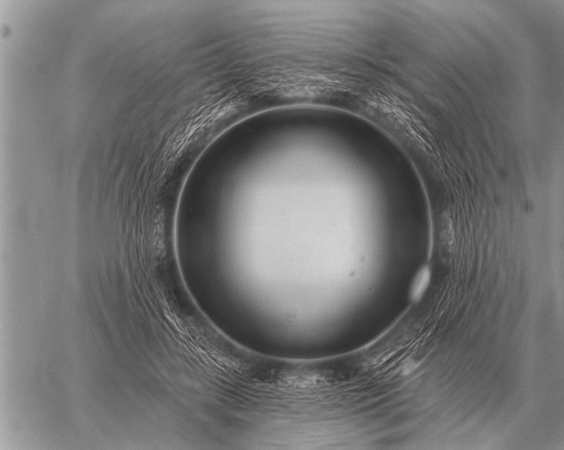 X0000059040547200510171851