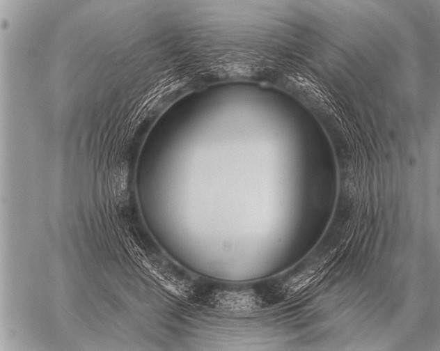 X0000059040548200510171851