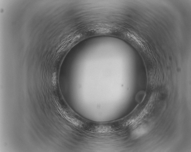 X0000059040549200510171851