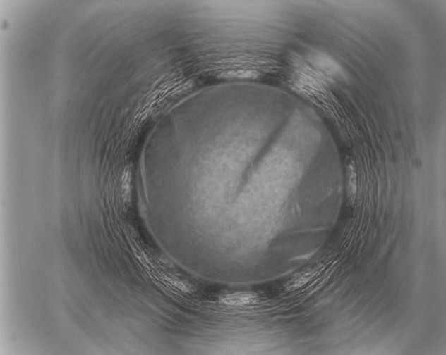 X0000059040551200510171851