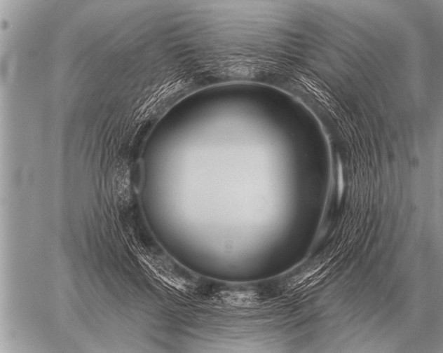 X0000059040552200510171851