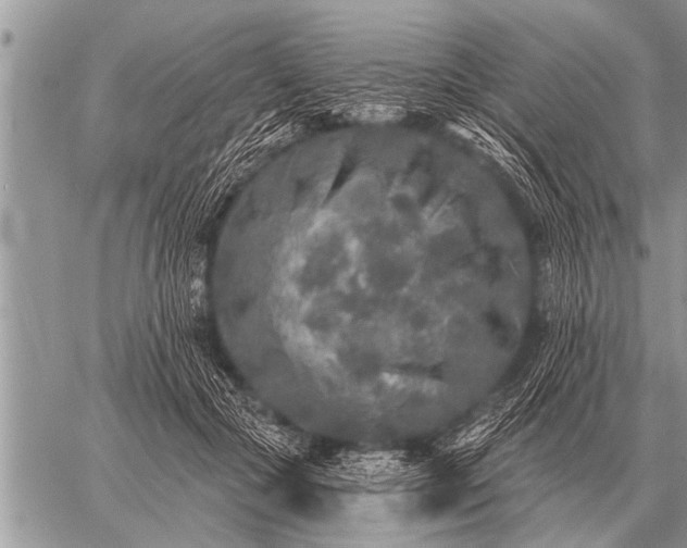 X0000059040553200510171851