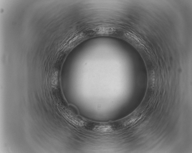 X0000059040554200510171851