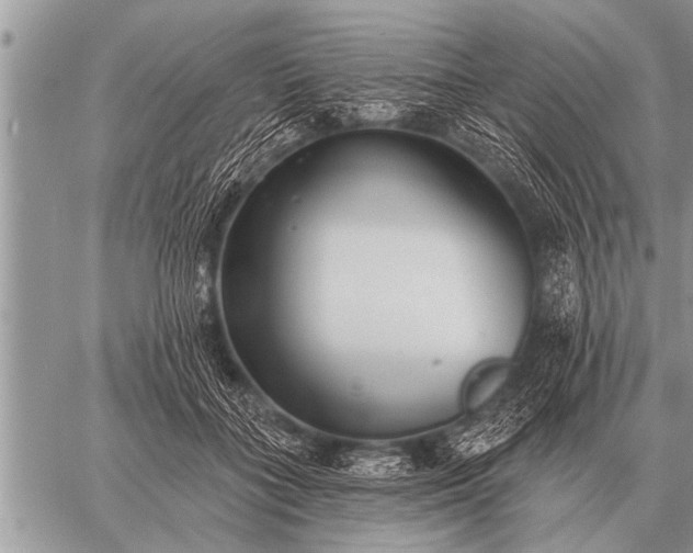 X0000059040555200510171851